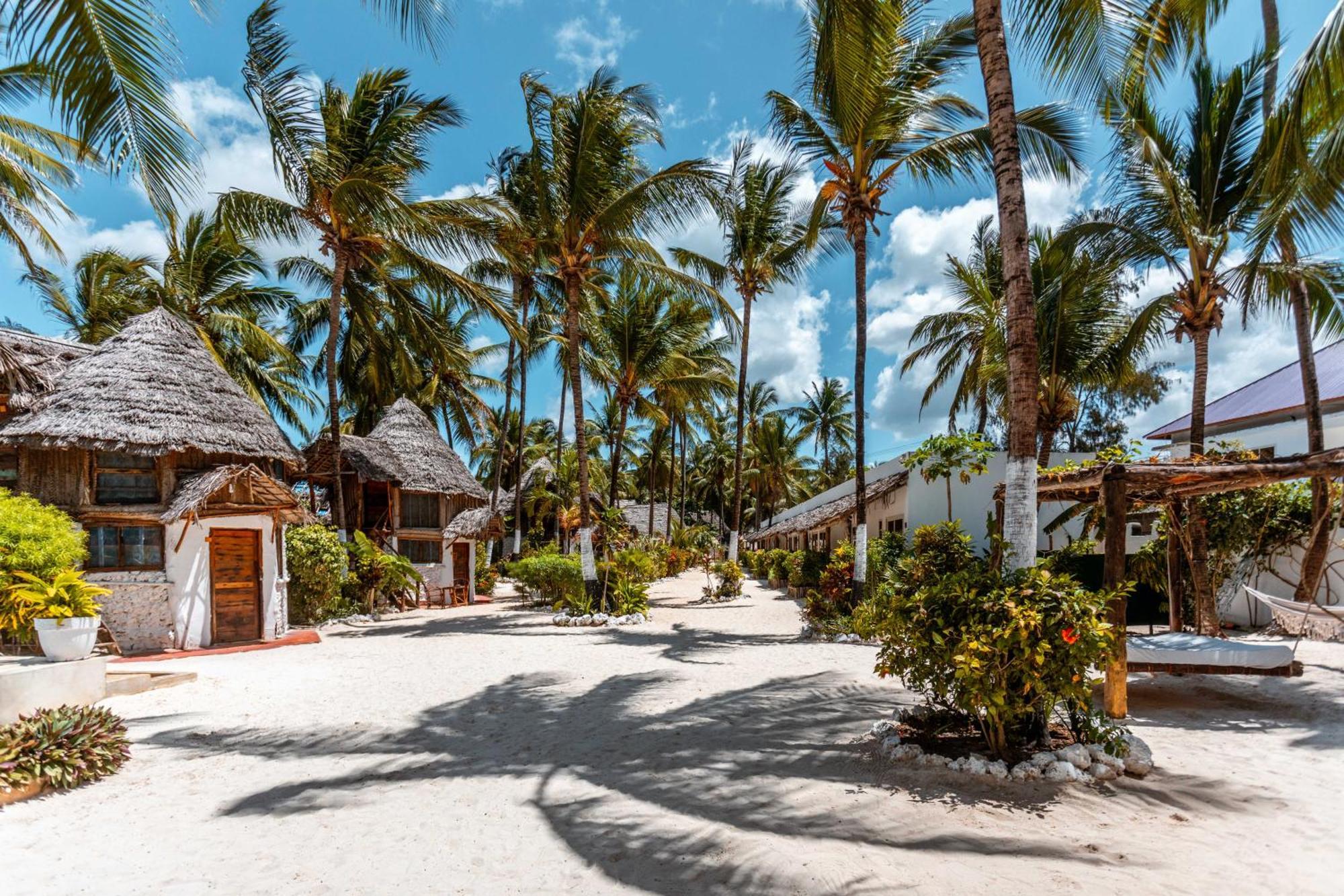 Maisha Matamu Beach Hotel Paje Buitenkant foto